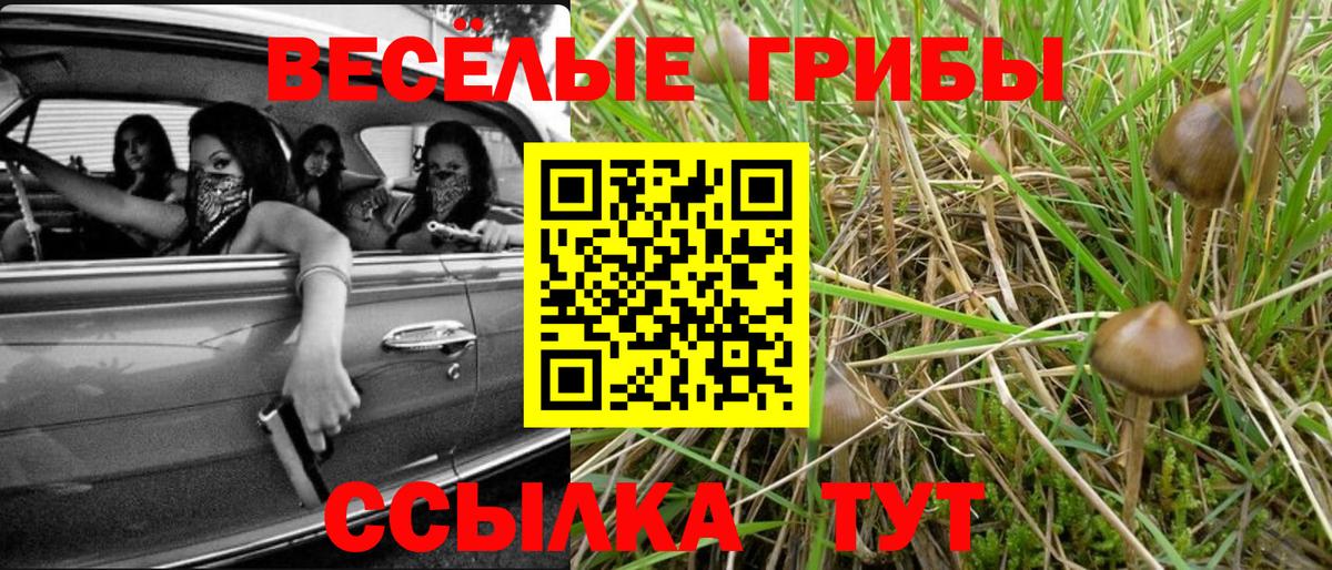 Кирово-Чепецк  Галлюциногенные грибы мухоморы  Вход с VPN  купить наркотики цена  Псилоцибиновые грибы ЛСД 